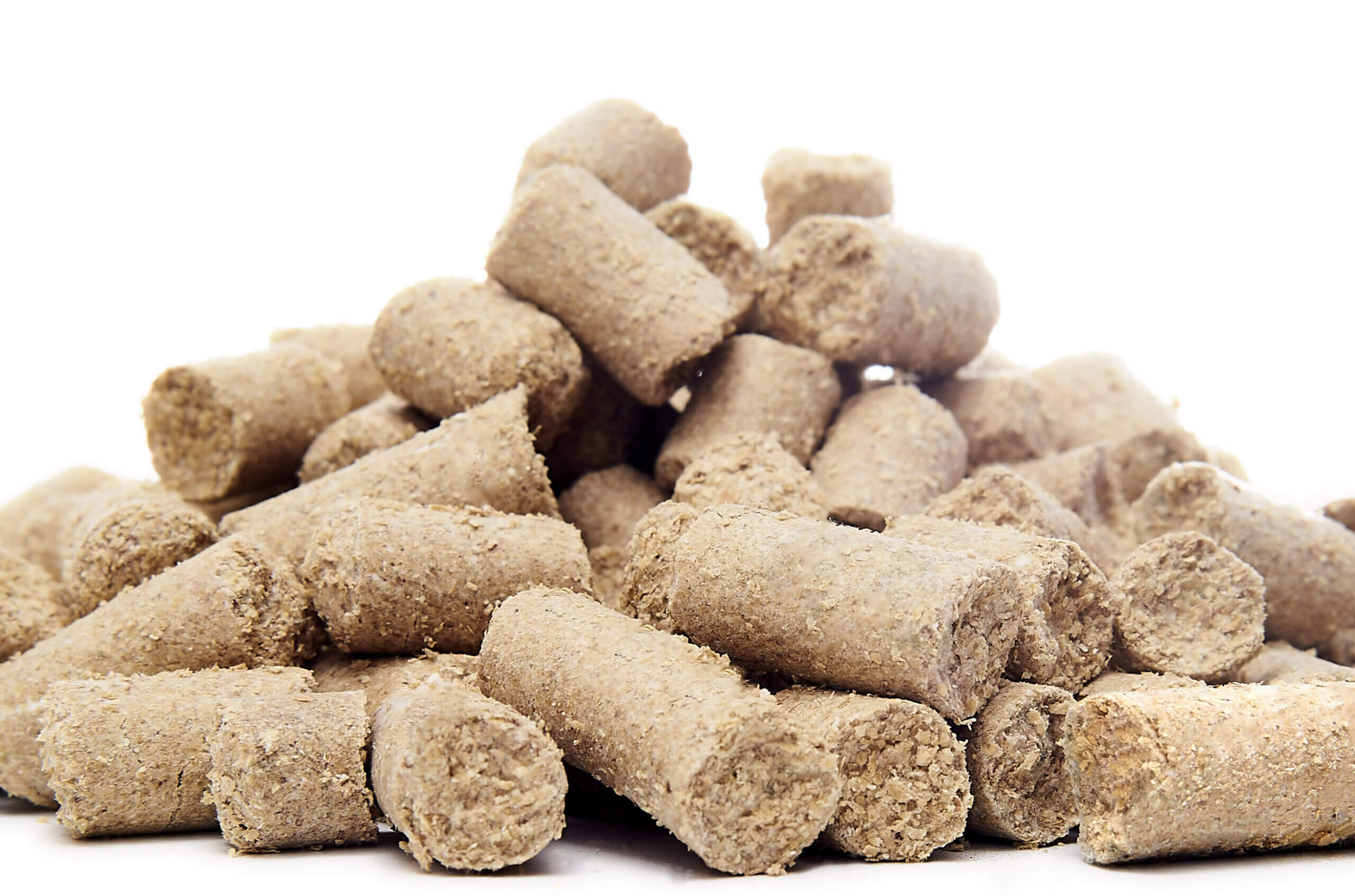 Hayvan Yemi Üretim Tesisi